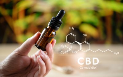 Your Guide to Finding Quality Cannabis at a Trusted Dispensary in Ypsilanti MI Locals Prefer